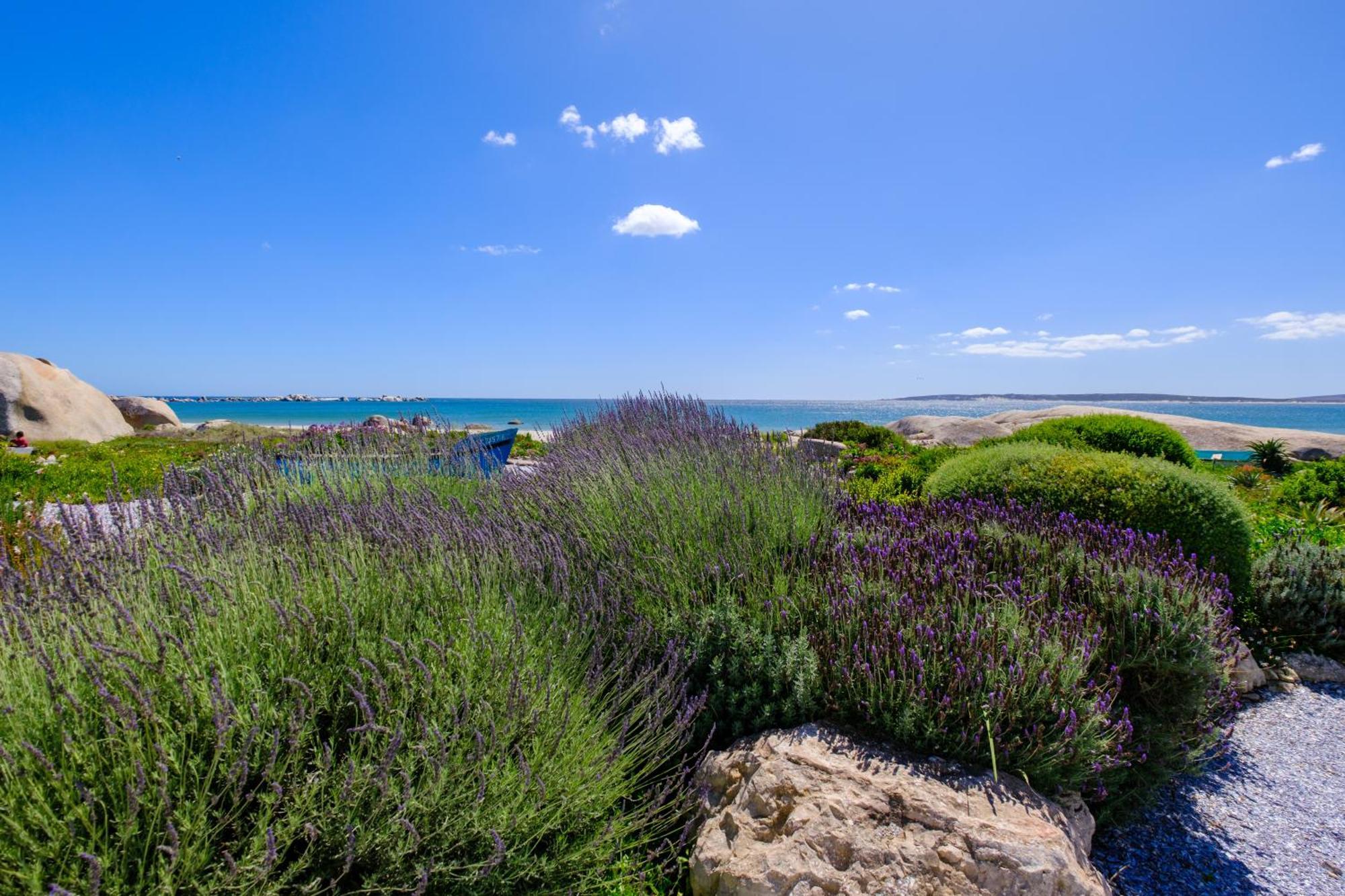 Dankbaar Holiday Home Paternoster Exterior foto